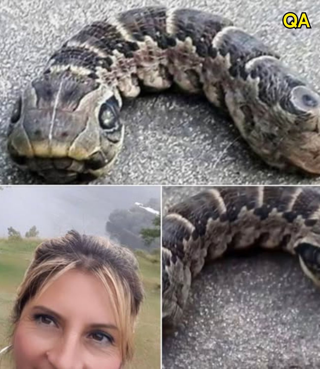 HT1. What on Earth is this? Woman discovers creepy ‘snake’ with two heads in her garden