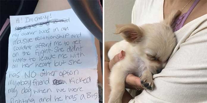 ST1. Dog found alone at airport with a heartbreaking note from his owner