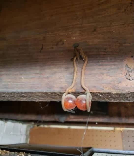 HT10. I found this hanging from the basement rafters of my 100 year old house. It appears to be two marbles or something similar in a hanger of some sort. Any one have a clue what this could be?”