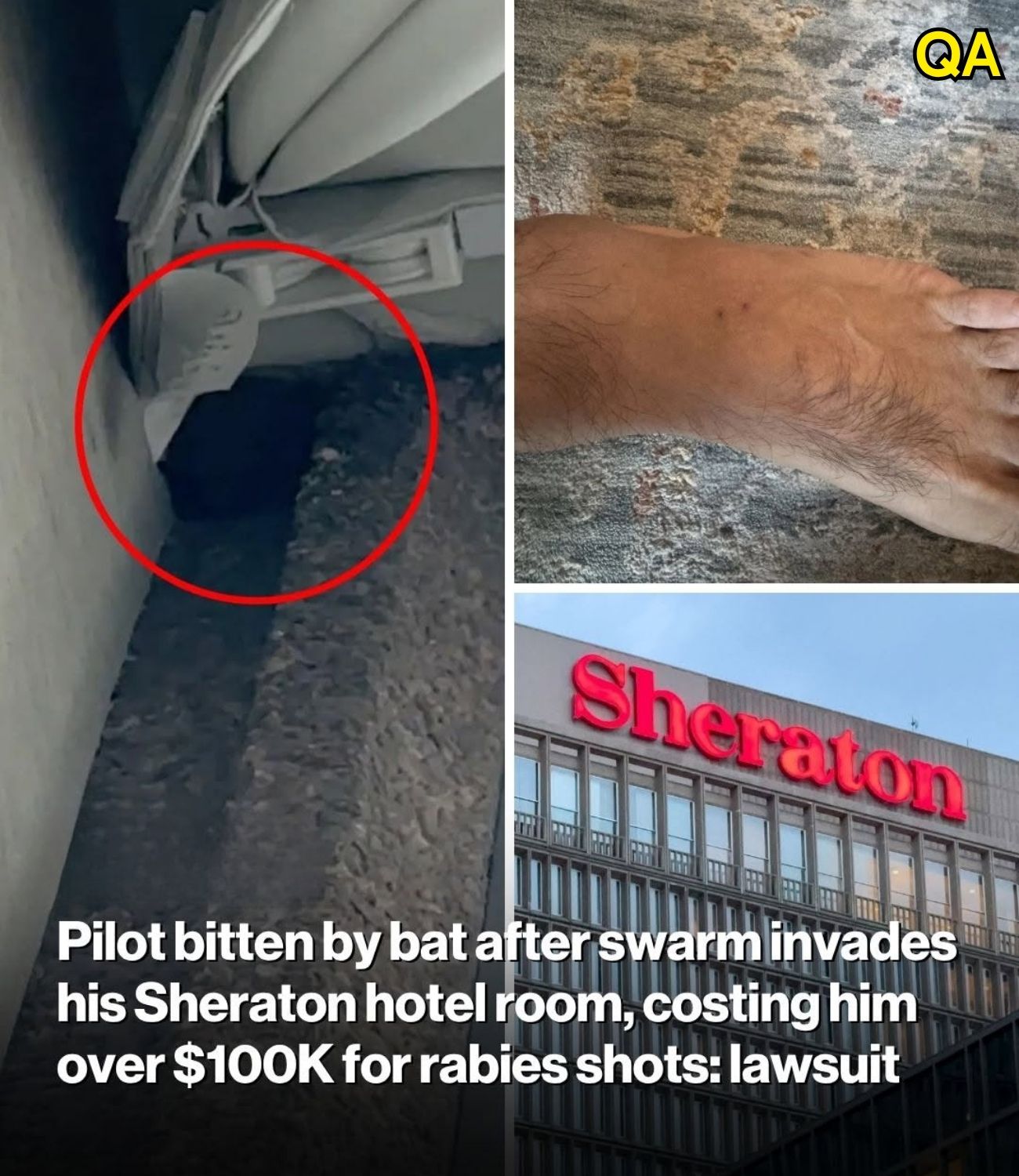 HT14. Pilot bitten by bat after swarm invades his Sheraton hotel room, costing him over $100K for rabies shots: lawsuit