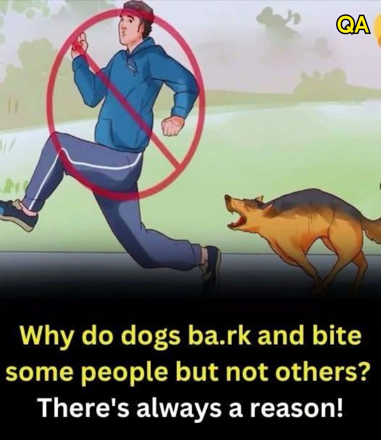 HT1. The reason dogs often chase people