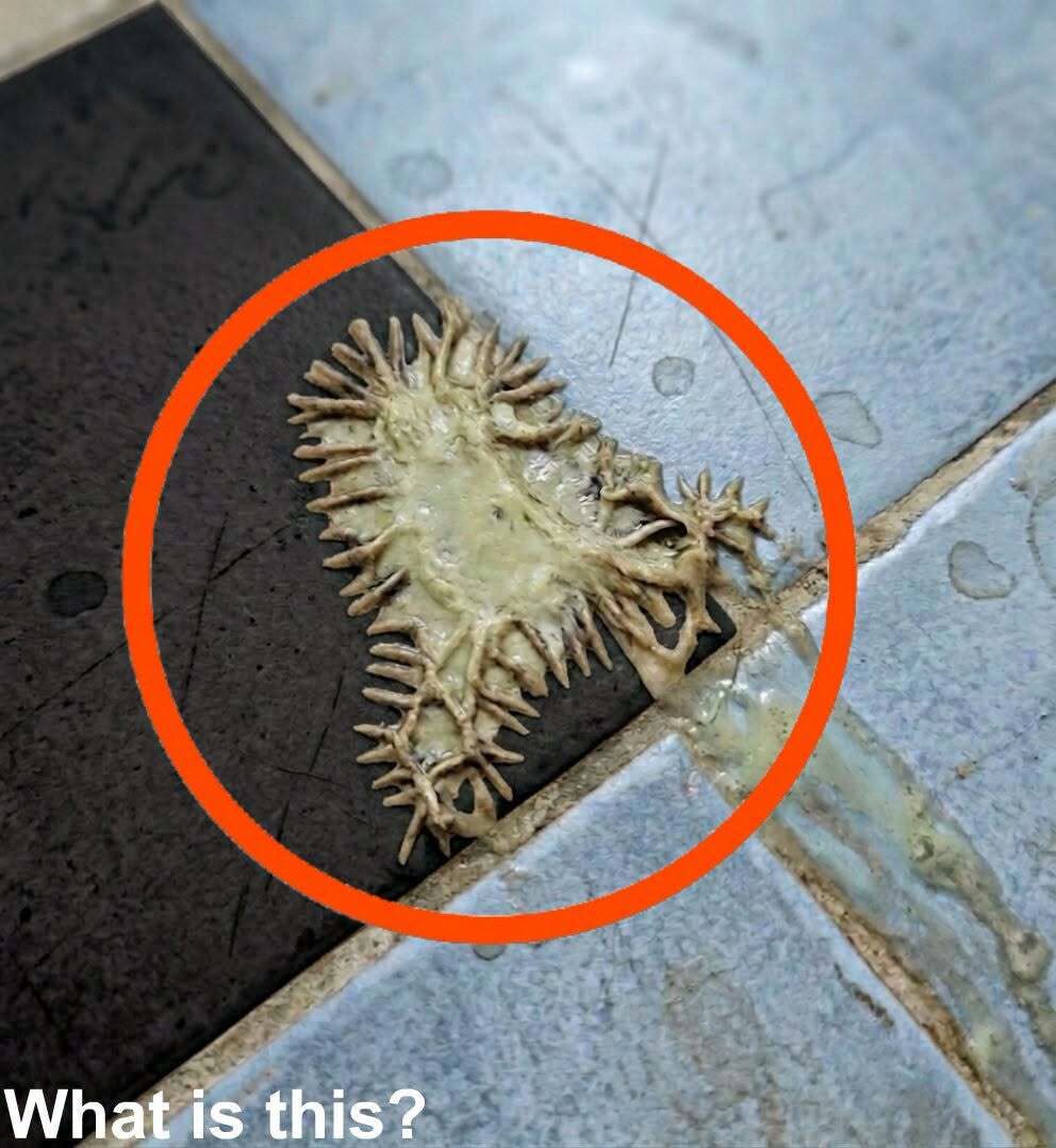 HT1. I found this in my girlfriend’s bathroom. We’ve been looking at it for an hour now and still can’t figure out what it is