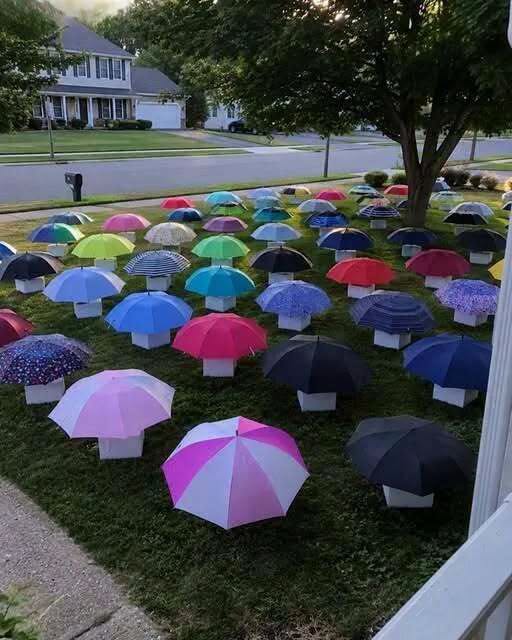 HT7. After My Son Shared His Umbrella, Our Family Received a Mysterious Gift