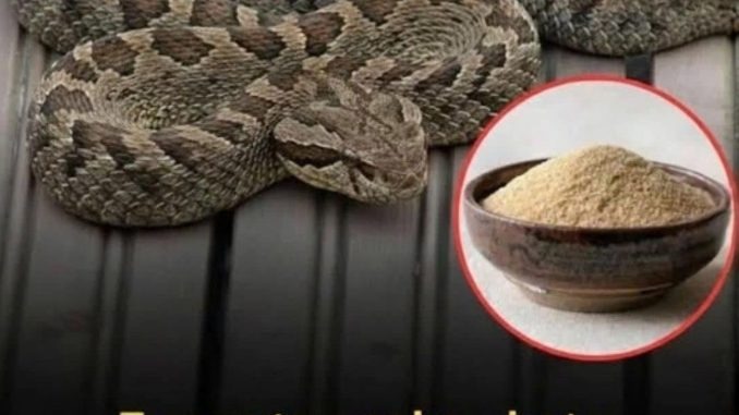 HT1. Let’s break down 7 smells snakes hate and how to use them to keep these slithery visitors away from your home