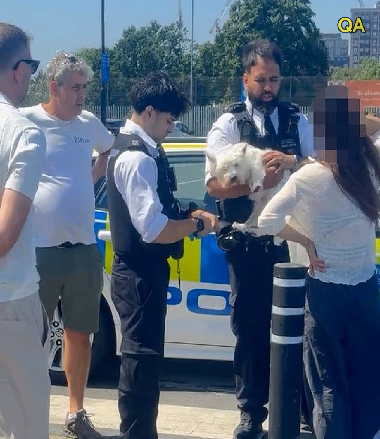 HT1. Police smash window of Volvo to save ‘distressed’ dog trapped inside during the heatwave before officers tell owner: ‘It’s not on’