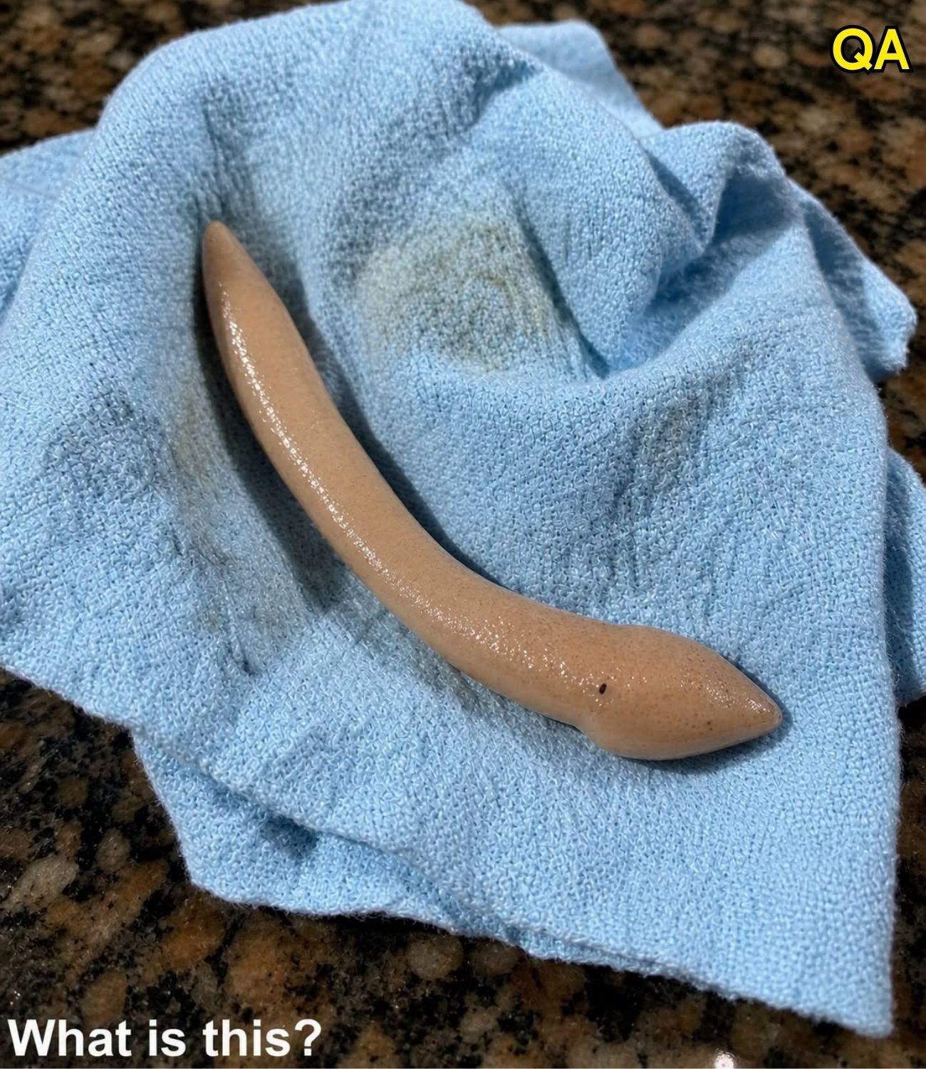 HT4. This evening, I went into my girlfriend’s bathroom and found this on the floor