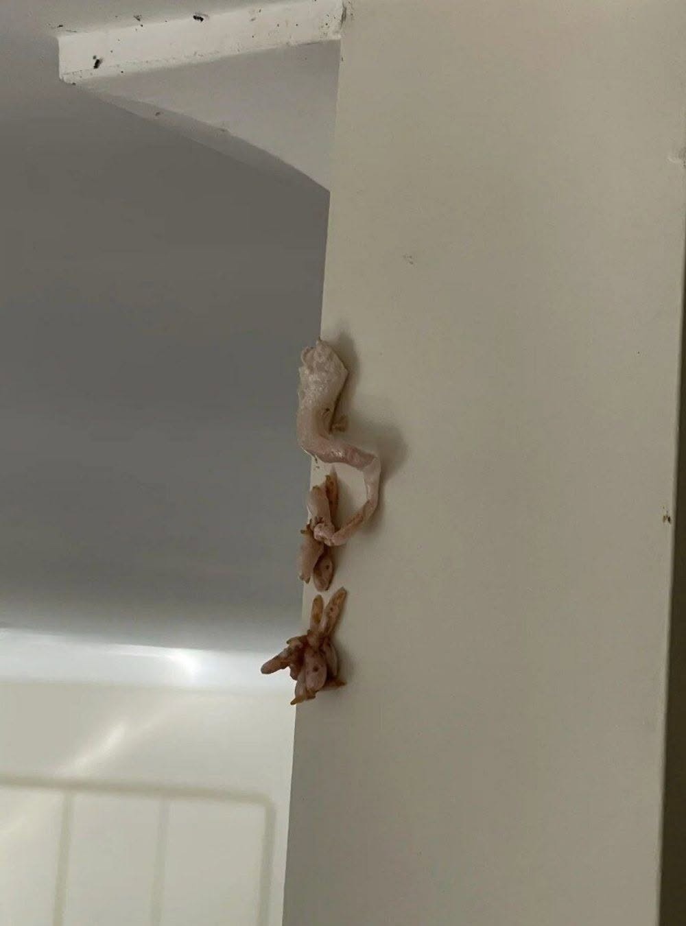 HT2. Crunchy Pink Surprise on Wall—What’s Really Going on Inside Your Home?