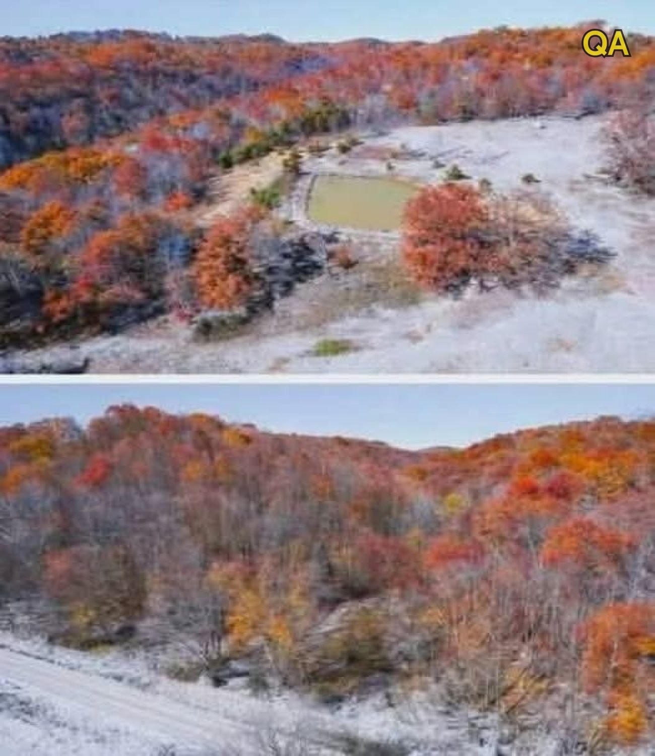 HT3. 71 Acres in The Woods Amazing For Hunting