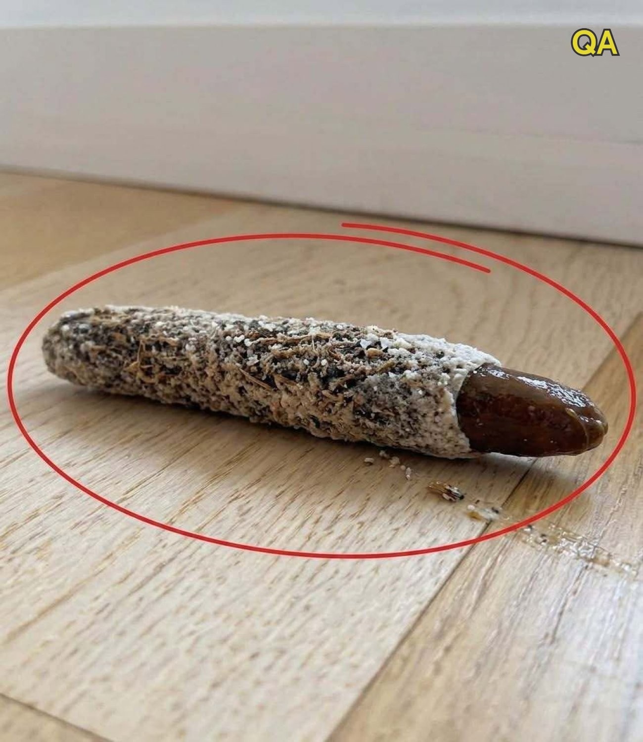 HT1. I Found a Strange Little Object on My Floor—Then I Discovered What It Really Was