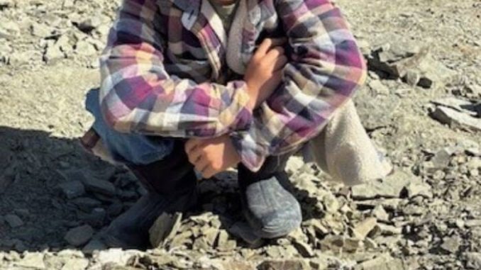 HT1. ‘It Blew All Of Our Minds’: A 48-Million-Year-Old Turtle Shell Was Found By An 11-Year-Old In Wyoming