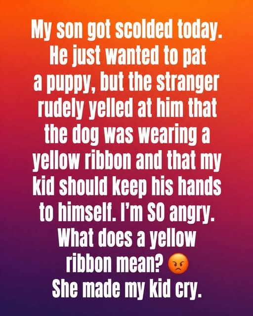 HT3. This Is What A Yellow Ribbon On A Dog Collar Means