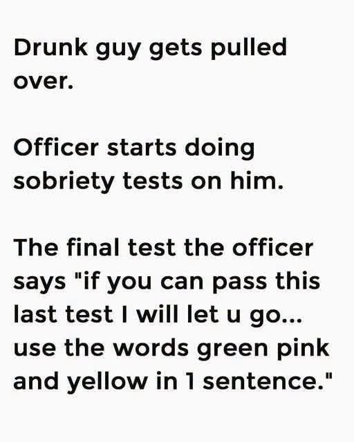 HT3. Drunk Guy Gets Pulled Over The Last Test Seals His Fate