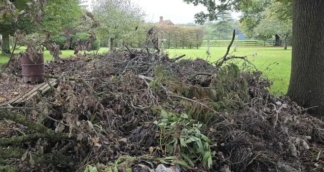 HT4. Can you spot the hidden dog? Only those with ‘sniper vision’ can find it