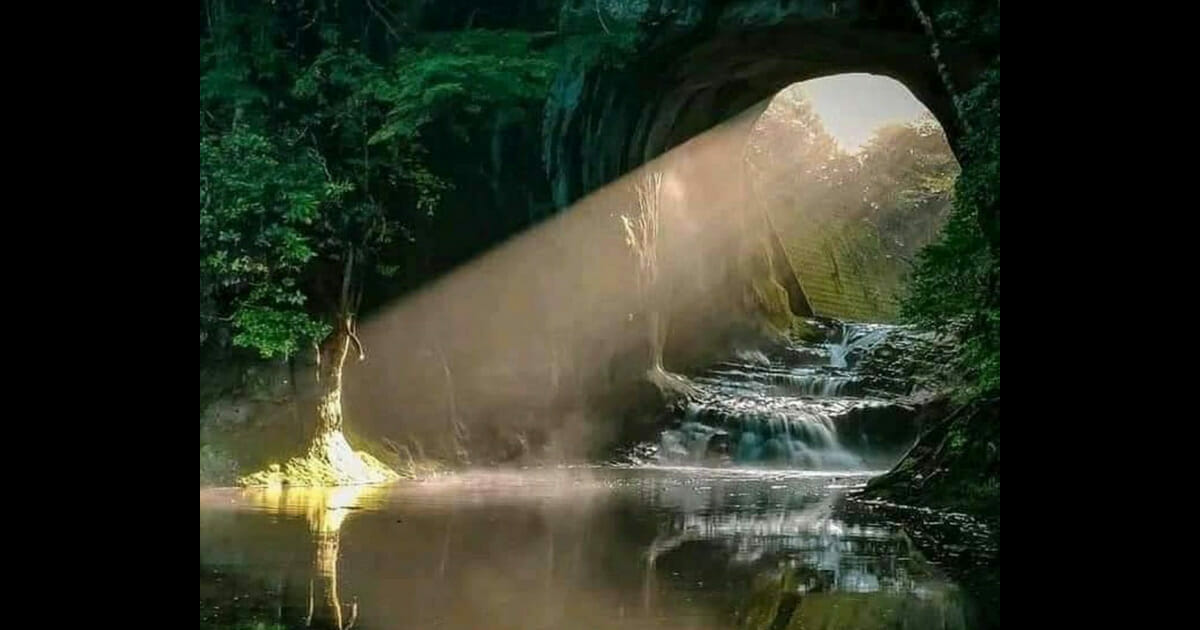 HT3. This beautiful picture of nature has one naughty detail