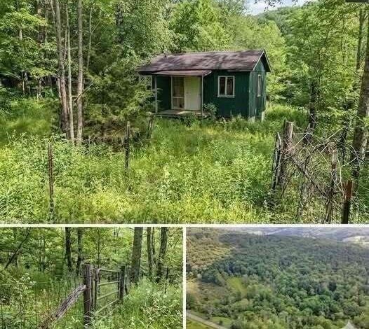 HT3. A Secluded 19000 Dollar Property Offers 15 Acres a Creek and a Tiny Bungalow