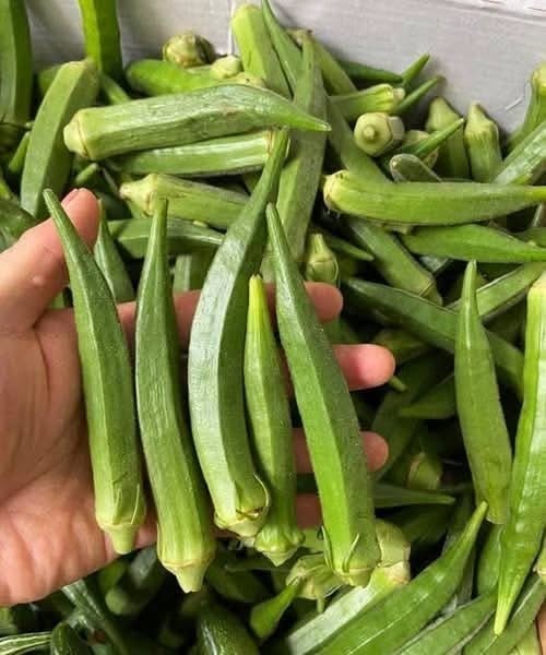 HT1. Doctors reveal that eating okra causes..See more