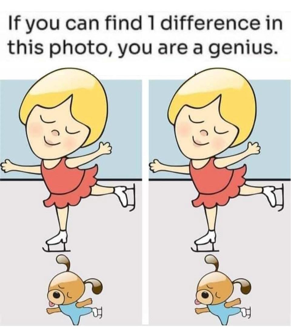 HT3. The Ice Skater Girl and Her Cute Skating Puppy: Find 1 Difference.