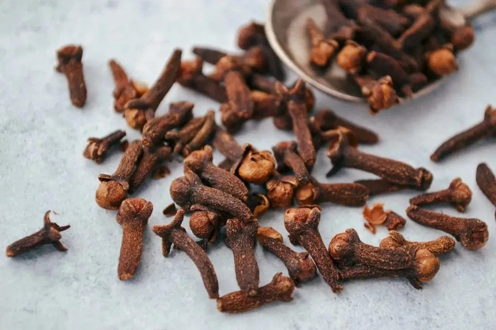 HT1. The ultimate guide to cloves: Benefits, uses, and common mistakes –