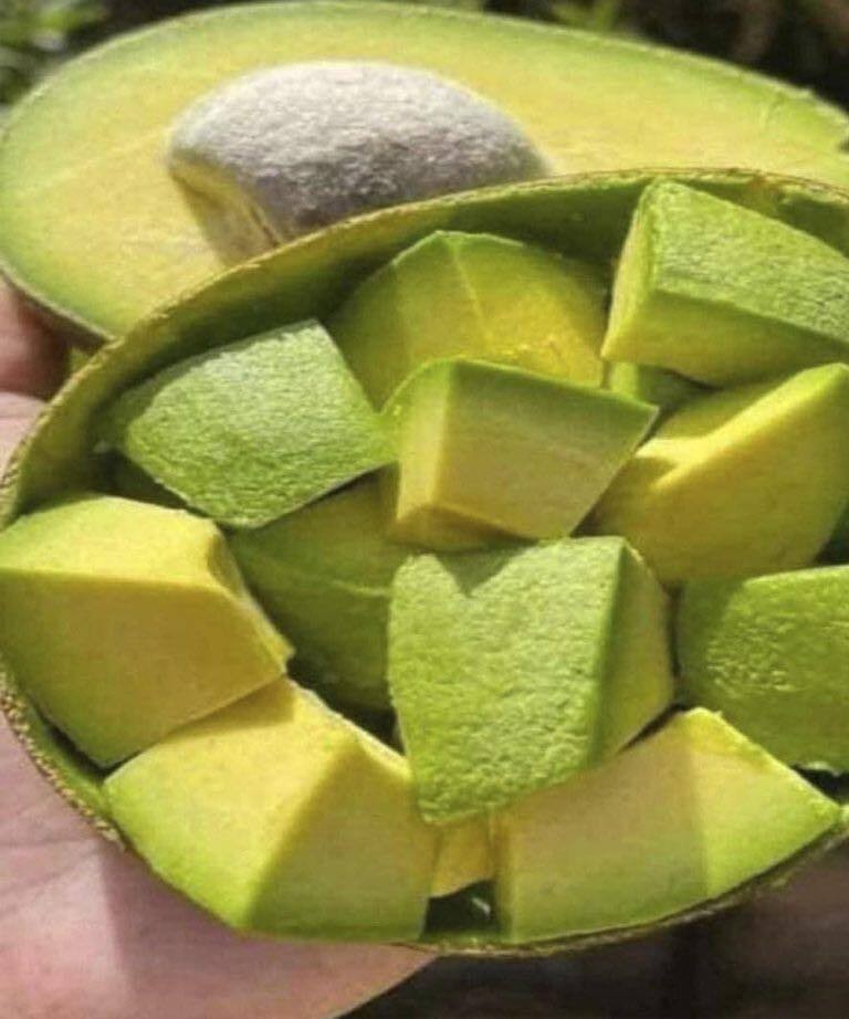 HT3. Doctors reveal that eating avocado causes in