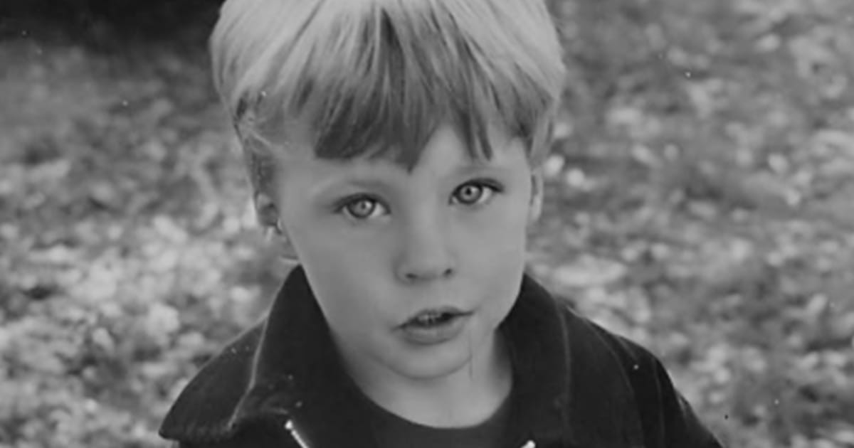 HT2. How Ricky Nelson saved the lives of his twin boys on the mysterious plane accident that led to his own death