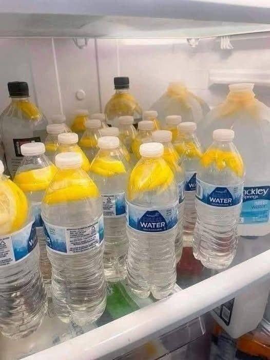 HT4. Ginger Water: The Healthiest Drink to Burn Fat and Tone Your Body