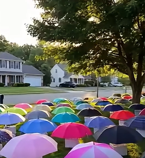 HT1. After My Son Shared His Umbrella, Our Family Received a Mysterious Gift
