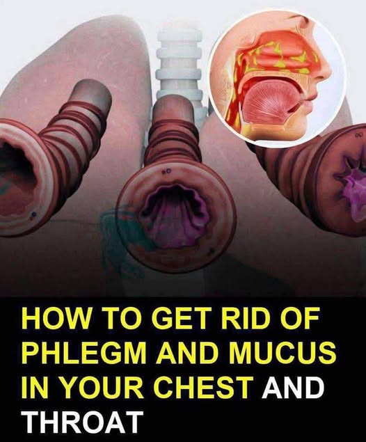 HT1. How to Naturally Clear Phlegm and Mucus from Chest and Throat