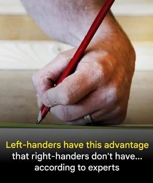 HT3. The Fascinating Science Behind Left-Handedness