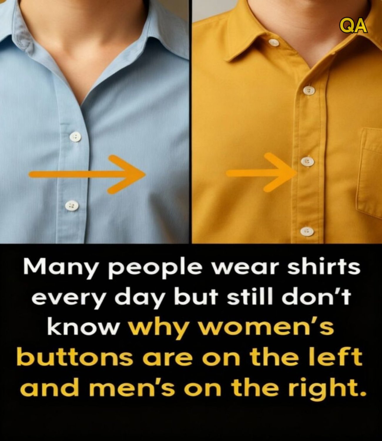 HT4. Why Women’s Shirt Buttons Are on the Left , The Surprising History Most People Don’t Know