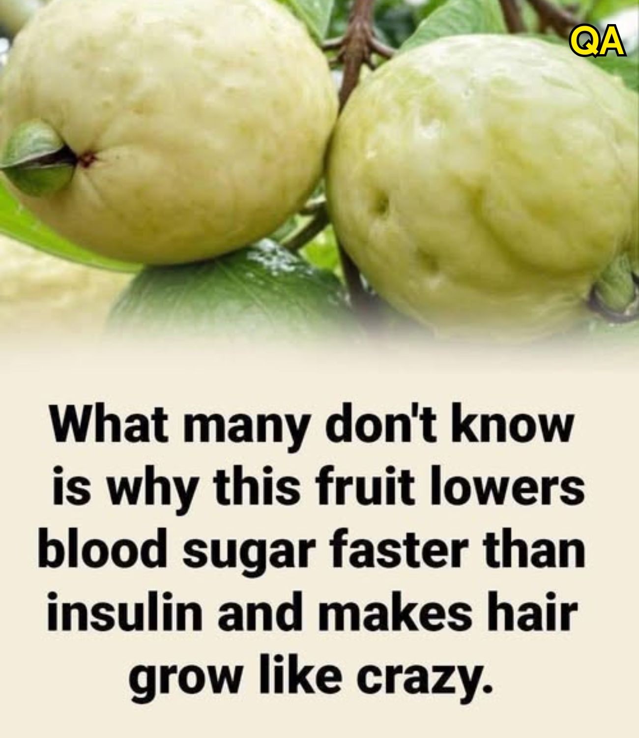 HT3. Guava and Blood Sugar: Why This Tropical Fruit Is Getting Attention From Health Experts