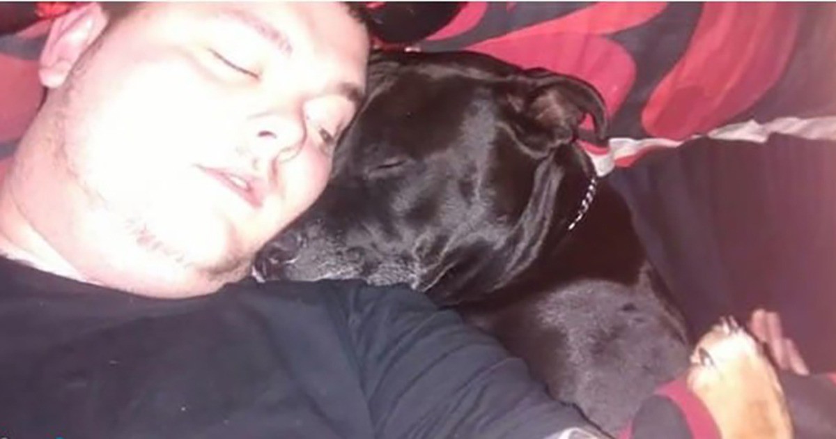 HT2. Man decides to take his own life – then he realizes what’s in his dog’s mouth