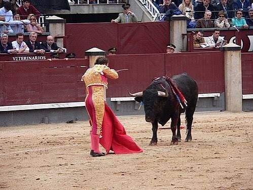 ST2. Western Bullfighting: History, Culture, Tradition, and the Science Behind the Spectacle