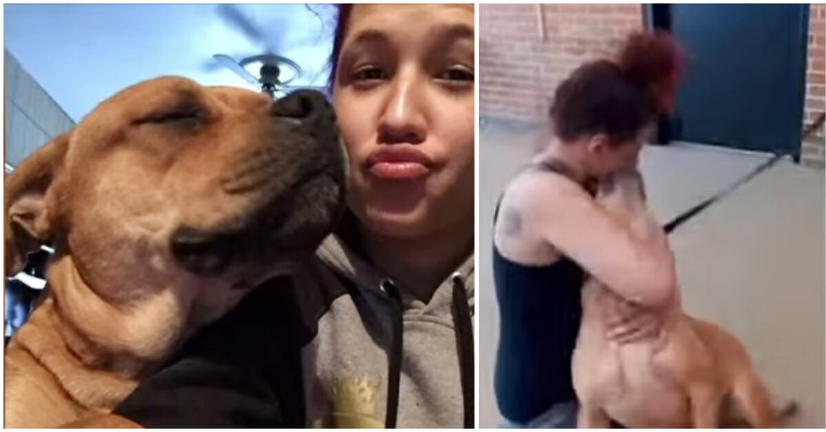 ST1. Woman checks shelter adoption site, and finds her dog who disappeared two years ago