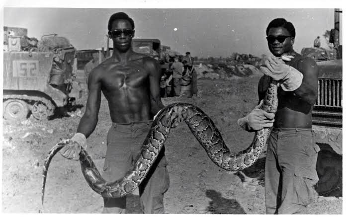 ST3. Soldier Survives a Dramatic Encounter With a Giant Snake