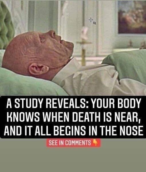 HT1. A Study Reveals: Your Body Knows When Death Is Near, And It All Begins In The Nose