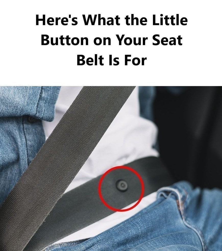 HT4. Here’s What the Little Button on Your Seat Belt Is Really For