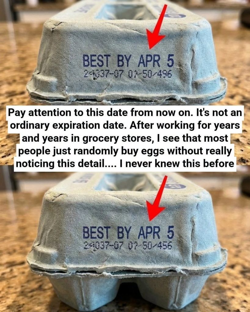 HT3. A Gentle, Science-Backed Guide to Egg Carton Codes