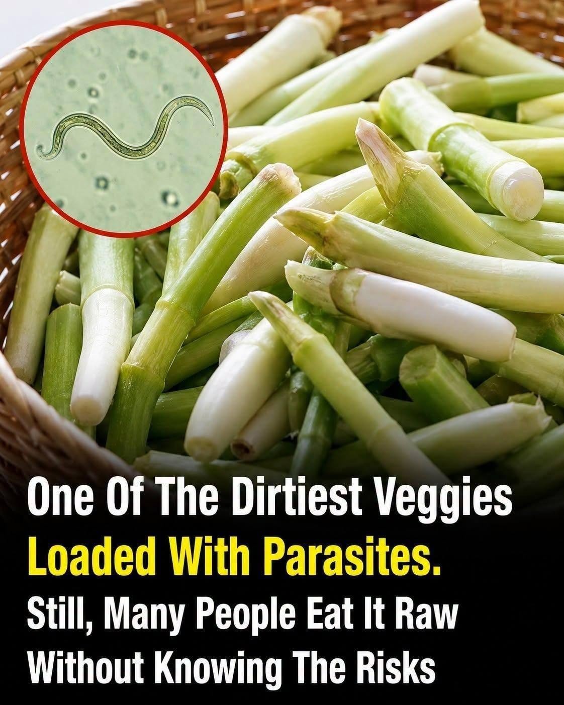 HT1. Search Results for “How to Safely Prepare and Store Green Onions at Home”