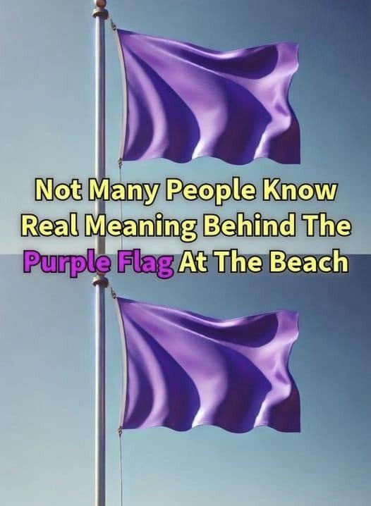 HT4. Why You Might See a Purple Flag Flying at the Beach