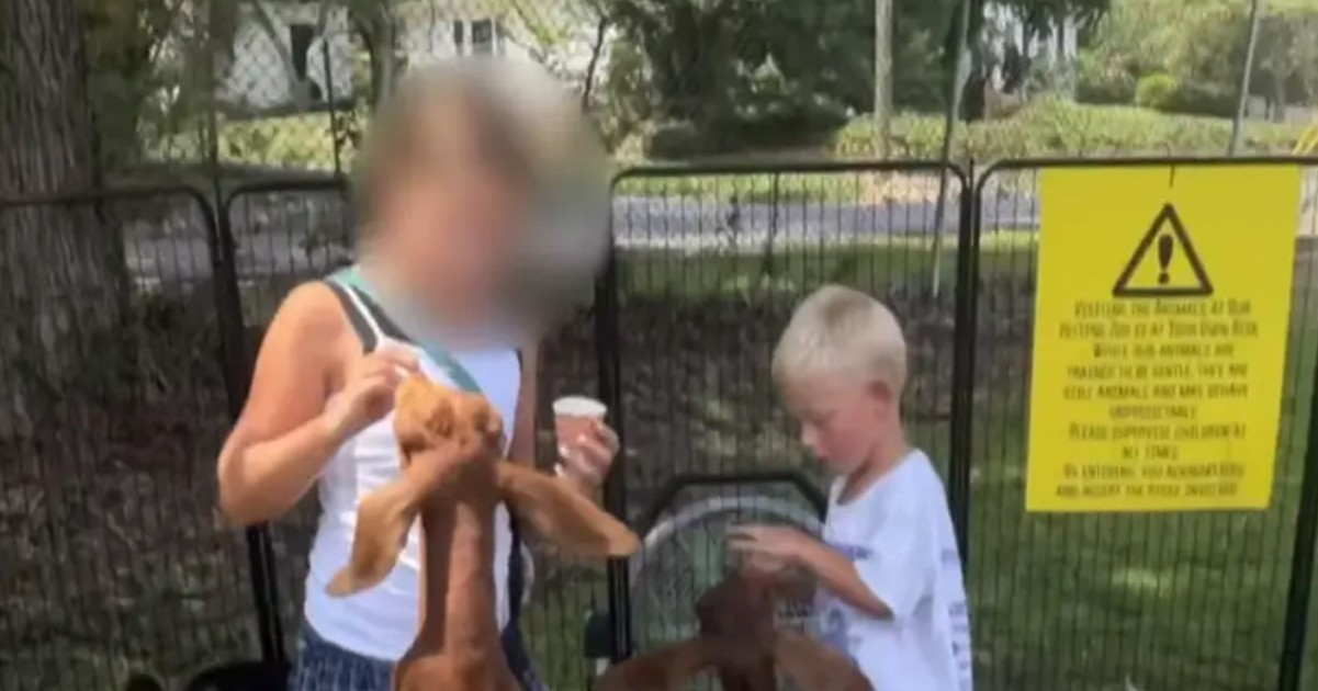 HT3. Mom gets call to tell her 4-year-old son has grave “neglected tropical disease” after petting zoo