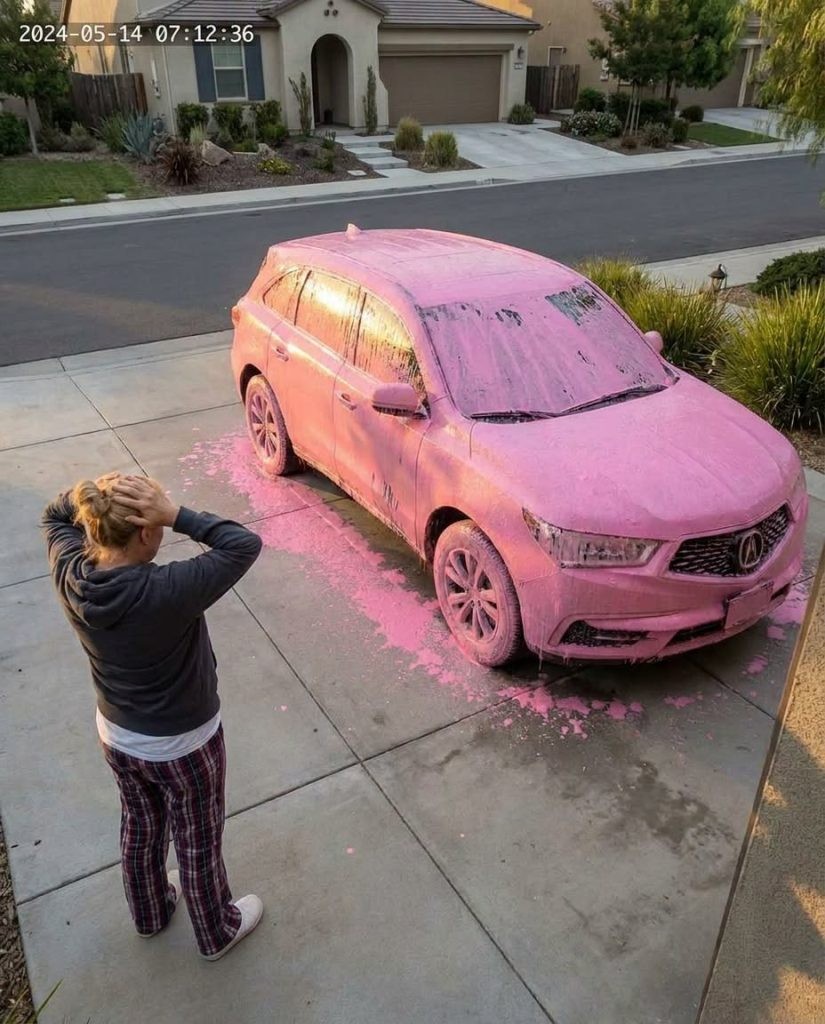 HT3. My Neighbor Painted My Entire Car Pink—The Next Morning, She Pounded on My Door Screaming About Her Own Car