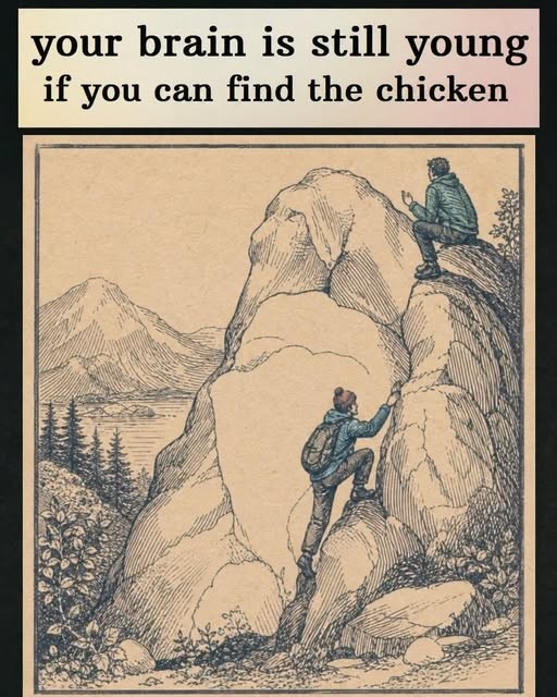 HT4. 10-Second Challenge: Find the Chicken!