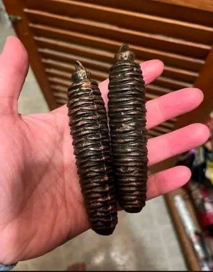 HT1. No, these are not Christmas decorations. My girlfriend is searching the house where her grandmother and her aunt have lived…