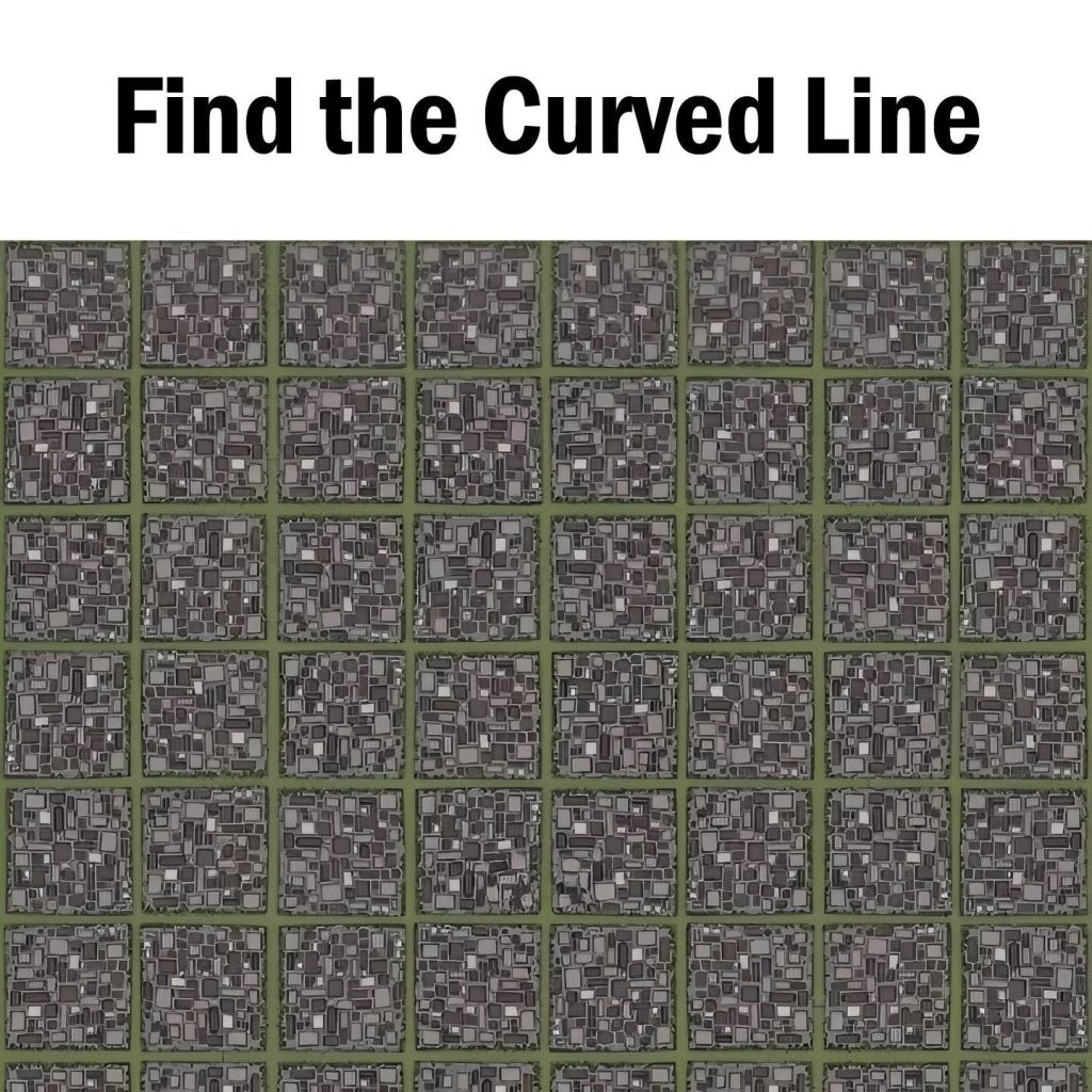 HT4. The Viral “Find the Curved Line” Puzzle: Why Your Brain Sees Curves That Aren’t There