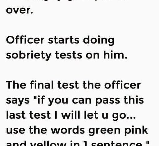 HT2. The Hilarious DUI Traffic Stop Joke That Backfired Instantly and Ended in Handcuffs