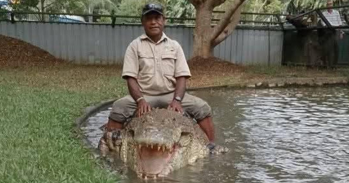 HT2. Chilling footage shows crocodile handler dragged underwater at park in fatal attack