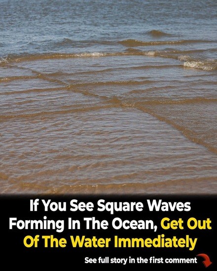 HT1. What to Understand When Square Waves Appear Across the Ocean