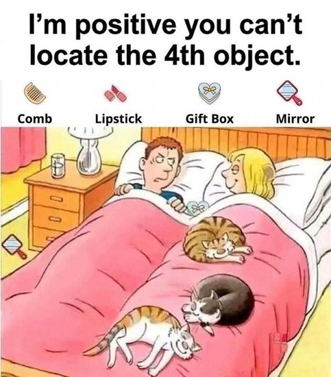 HT1. Can You Find Every One of the Four Objects Hidden in This Bed?
