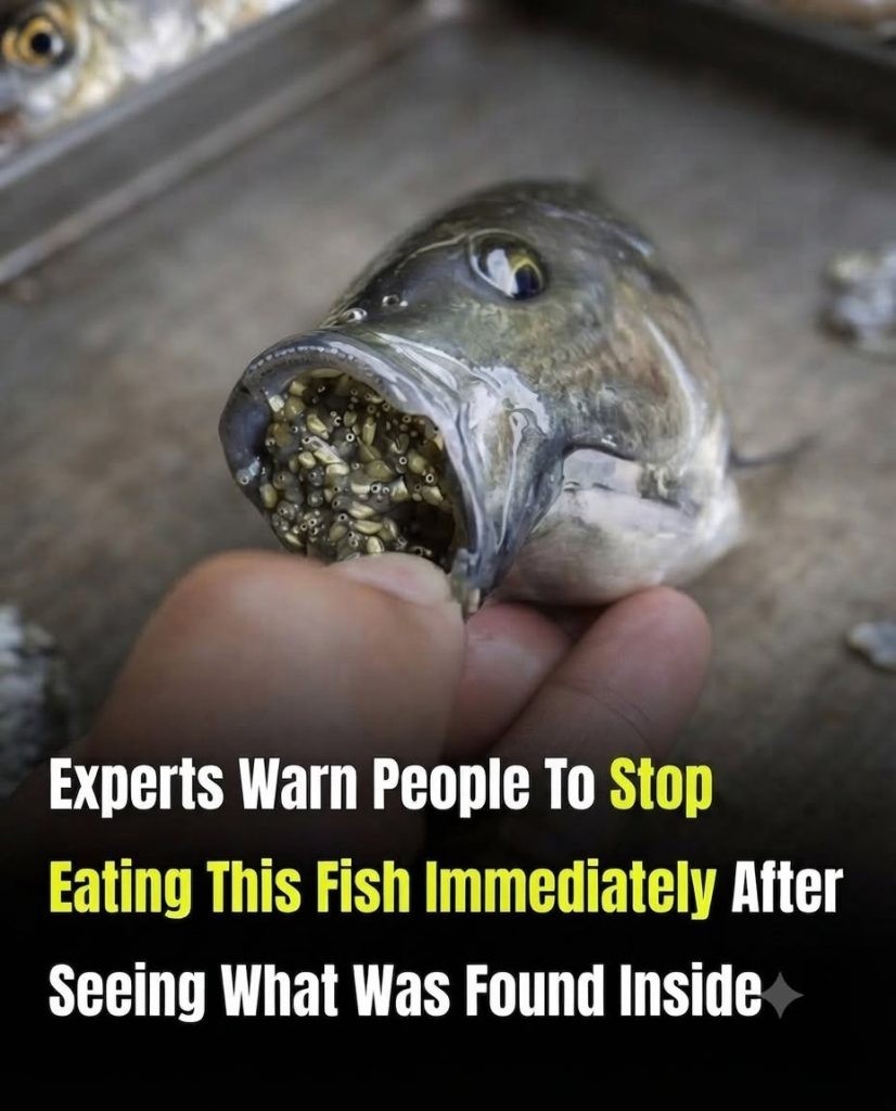 HT1. Think This Fish Is Always Healthy? Experts Say You Should Know This Before Eating It Again