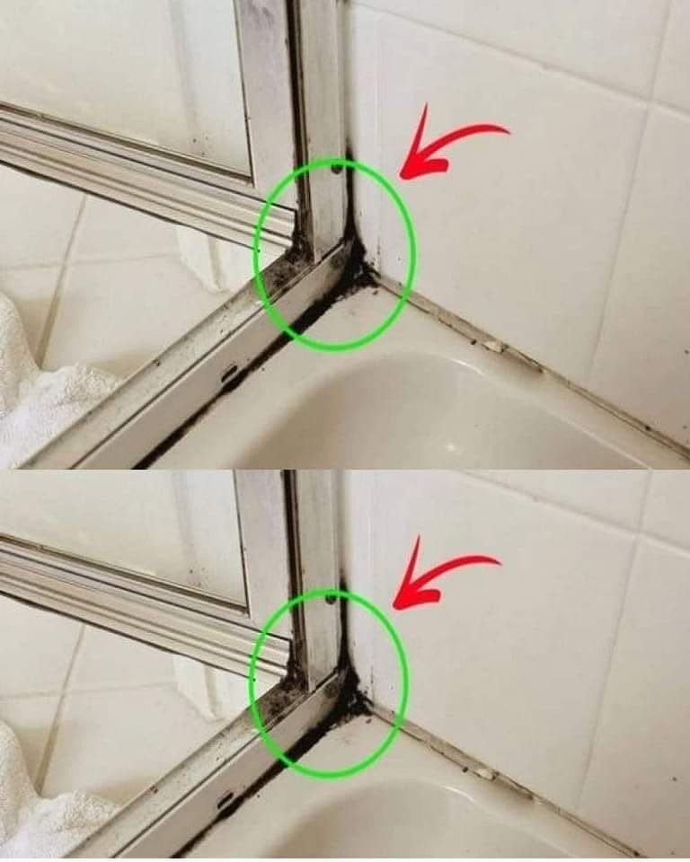 HT4. The Fastest Way to Get Rid of Shower Silicone Mildew
